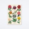 Cavallini & Co Botanica 2 Wrap Wall Art