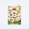 Cavallini & Co Happy Birthday Mushroom Card Birthday