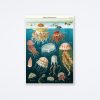 Cavallini & Co Jellyfish Oceanography Wrap Wall Art