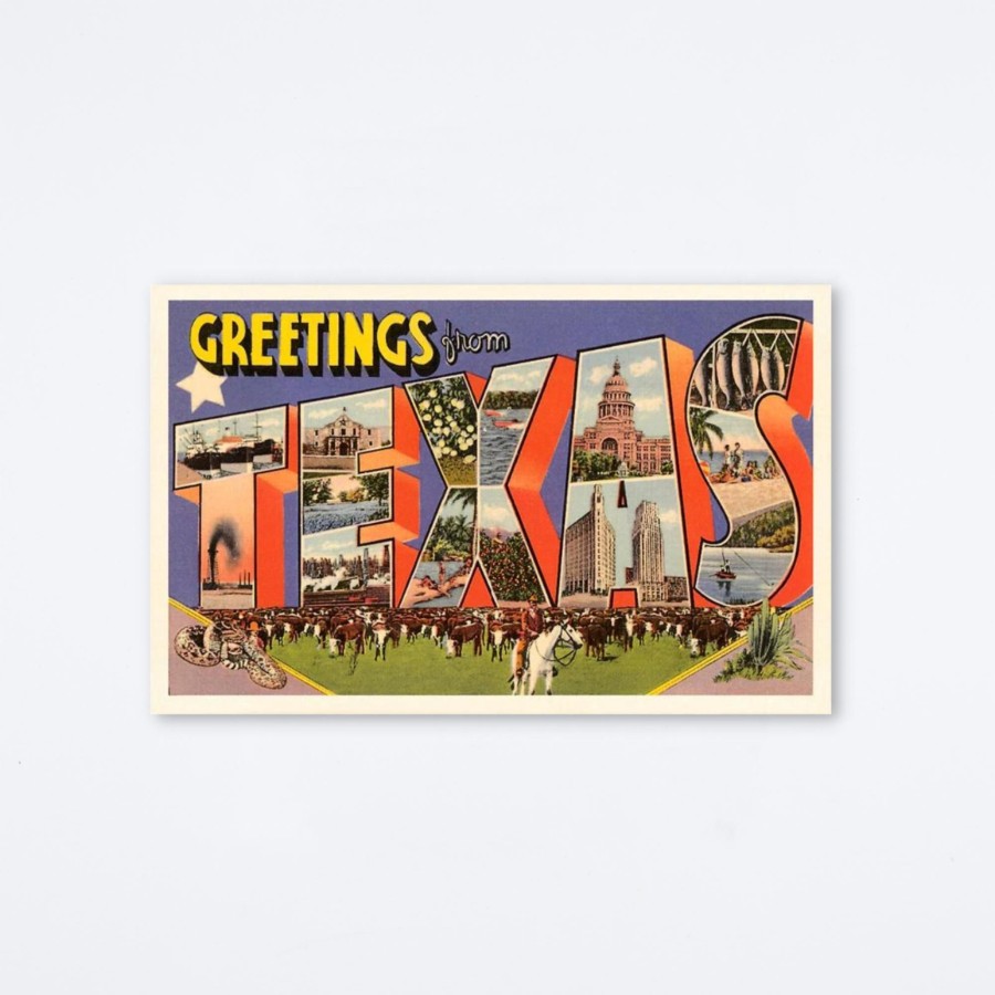 Found Image Press Greetings From Texas Herd Postcard Postcards