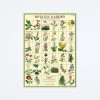 Cavallini & Co Botanic Garden Wrap Wall Art