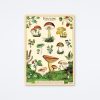 Cavallini & Co Forage Wrap Wall Art