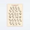 Cavallini & Co Sign Language Chart Wrap Wall Art