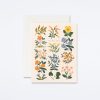 Rifle Paper Co Wildwood Thank You Card Boxed Card Sets