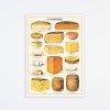 Cavallini & Co Cheese Wrap Wall Art