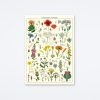 Cavallini & Co Wildflowers Wrap Wall Art