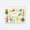 Cavallini & Co Wildflowers File Folder Set Home